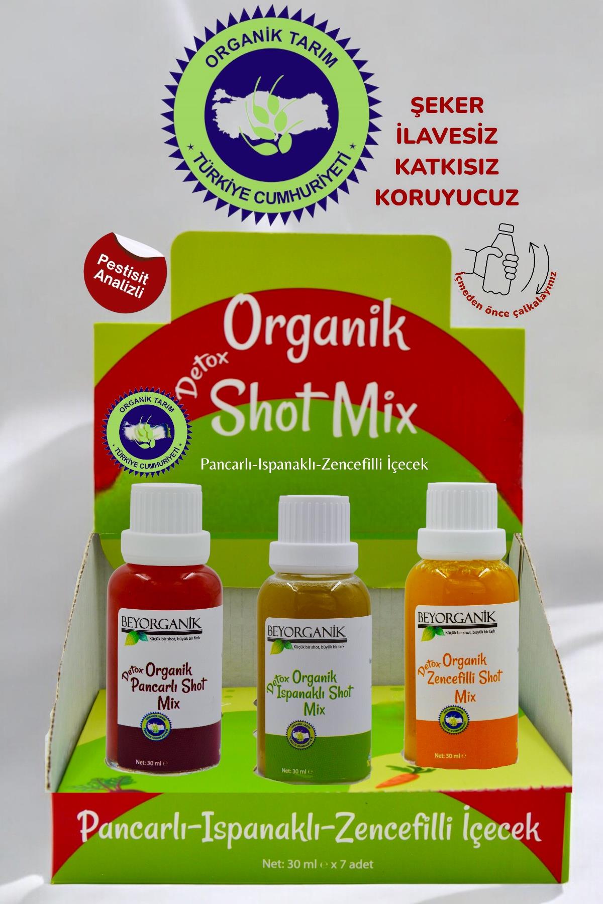 BEYORGANİK-Organik Detox Shot Mix ( Detox Sirkesi) (PESTİSİT ANALİZLİ)-12 Adet